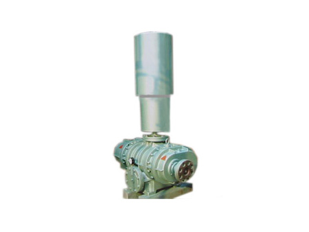 L52WD-L53WD型羅茨風(fēng)機